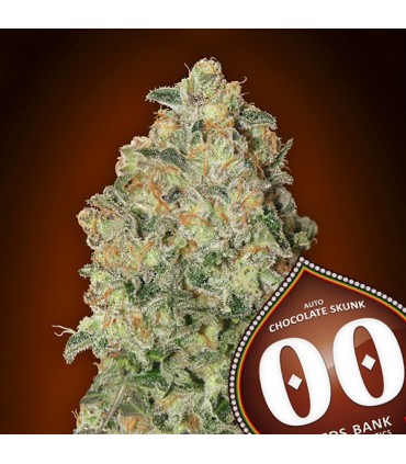 Auto Chocolate Skunk   5 u. fem. 00 Seeds