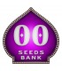 Autofloracion Mix fem 00 Seeds