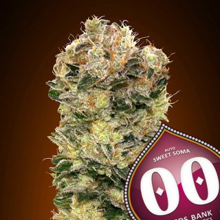 Auto Sweet Soma   5 u. fem. 00 Seeds