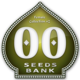 Female Collection 2 - 00 Seeds