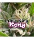 Auto King Kong 4 u. fem. Dr Underground