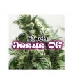 Black Jesus OG fem. Dr Underground