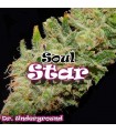 Soul Star fem. Dr Underground