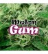 Melon Gum 25 u. fem. Dr Underground