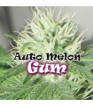 Auto Melon Gum fem. Dr Underground