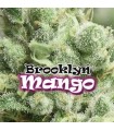 Brooklyn Mango fem. Dr Underground