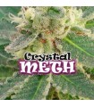 Crystal M.E.H.T. 8 u. fem. Dr Underground