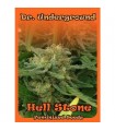 Hell Stone fem. Dr Underground