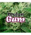 Melon Gum fem. Dr Underground