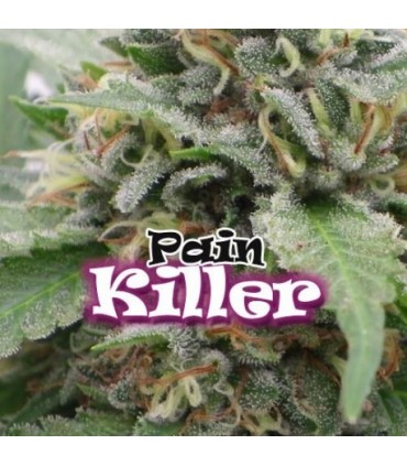Painkiller 4 u. fem. Dr Underground