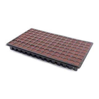 Bandeja I CLONE S-TP 144 Alveolos (8uds.)