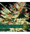 Auto Gouda´s Grass 3 u. fem. Vision Seeds