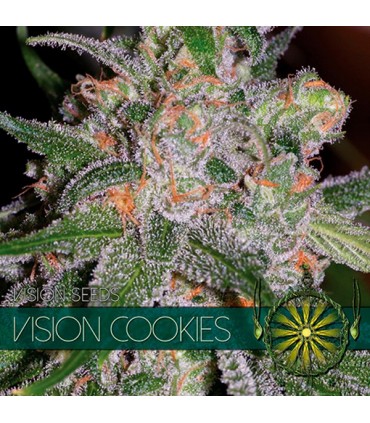 Vision Cookies 3 u. fem. Vision Seeds