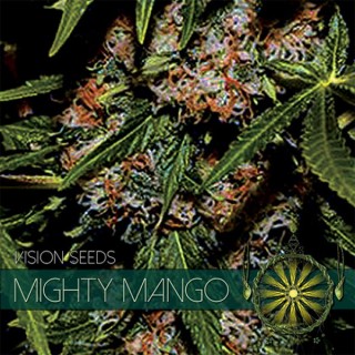 Mighty Mango 3 u. fem. Vision Seeds