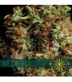 NY Diesel 3 u. fem. Vision Seeds