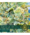 Medical 49 CBD+ 3 u. fem. Vision Seeds