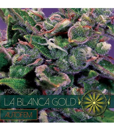 Auto La Blanca Gold 3 u. fem. Vision Seeds
