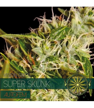 Auto Super Skunk 3 u. fem. Vision Seeds