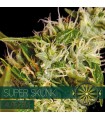 Auto Super Skunk 3 u. fem. Vision Seeds