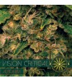 Auto Vision Critical 3 u. fem. Vision Seeds