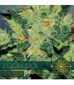 Auto Vision Jack 3 u. fem. Vision Seeds