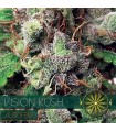 Auto Vision Kush 3 u. fem. Vision Seeds