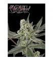 Old School fem. Ripper Seeds