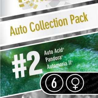 Coleccion Auto PackN2 - 6 u. Paradise Seeds
