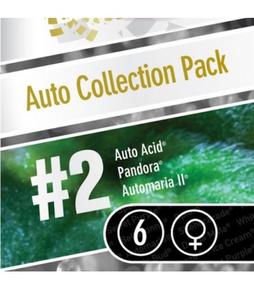 Coleccion Auto PackN2 - 6 u. Paradise Seeds