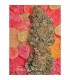 Fruitylicious 6 u. fem. Mandala Seeds (AGOTADA EN ORIGEN)