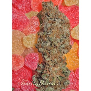 Fruitylicious fem. Mandala Seeds