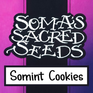 Somint Cookies fem. Soma Seeds