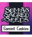 Somint Cookies fem. Soma Seeds