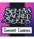 Somint Cookies  5 u. fem. Soma Seeds