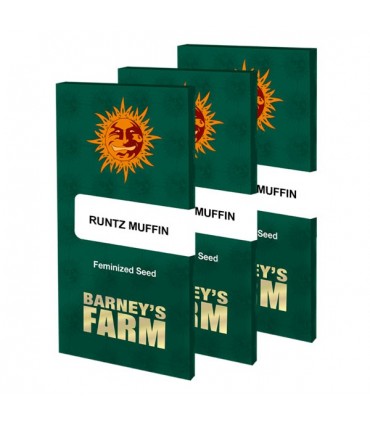 Runtz Muffin fem. Barney's