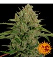 Triple Cheese fem. Barney´s