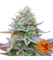 Gorilla Zkitltez   5 u. fem. Barney's