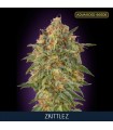 Zkittlez fem. Advanced Seeds