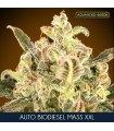 Auto Biodiesel Mass XXL fem. Advanced Seeds