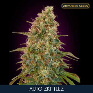 Auto Zkittlez fem. Advanced Seeds