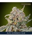 Auto Somango Glue fem. Advanced Seeds