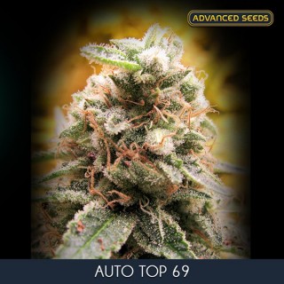 Auto Top 69 -  3 + 1 u. fem. Advanced Seeds