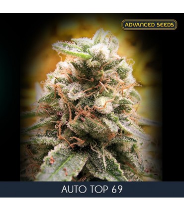 Auto Top 69 -  3 + 1 u. fem. Advanced Seeds