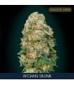 Afghan Skunk fem. Advanced Seeds