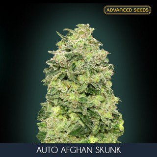 Auto Afghan Skunk fem. Advanced Seeds