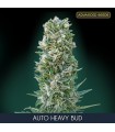 Auto Heavy Bud fem. Advanced Seeds