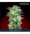 Auto Kaya 47 - fem. Advanced Seeds