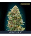 Auto Skunk 47 - fem. Advanced Seeds