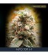 Auto Top 69 - fem. Advanced Seeds