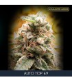 Auto Top 69 - fem. Advanced Seeds